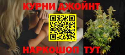 дурь Кингисепп