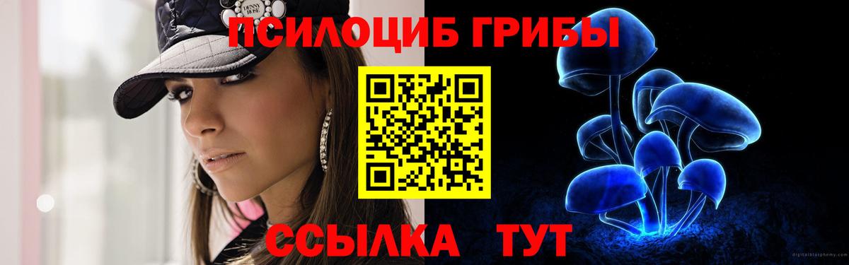 Псилоцибиновые грибы мицелий  Вход с VPN  Канаш 